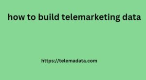 how to build telemarketing data