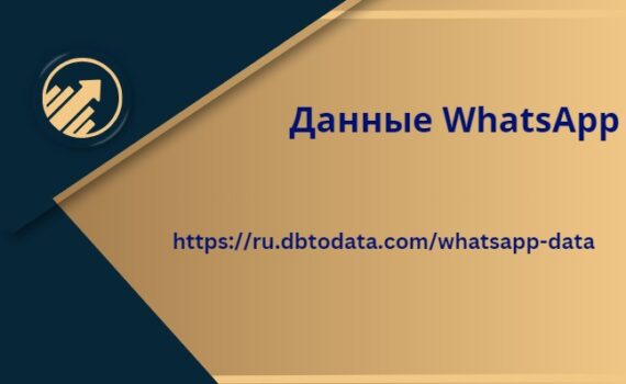 Данные WhatsApp